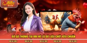 Đá Gà Thomo Tại 88I Hé Lộ Dữ Liệu Chốt Kèo Chuẩn